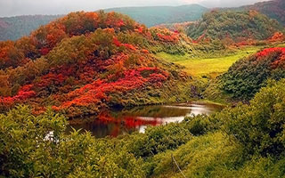 ニセコの紅葉と沼めぐり