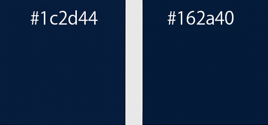 #1C2D44 #162A40カラーサンプル