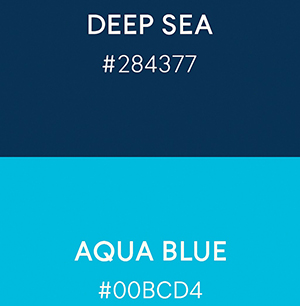 ブルー系との組み合わせ色サンプル