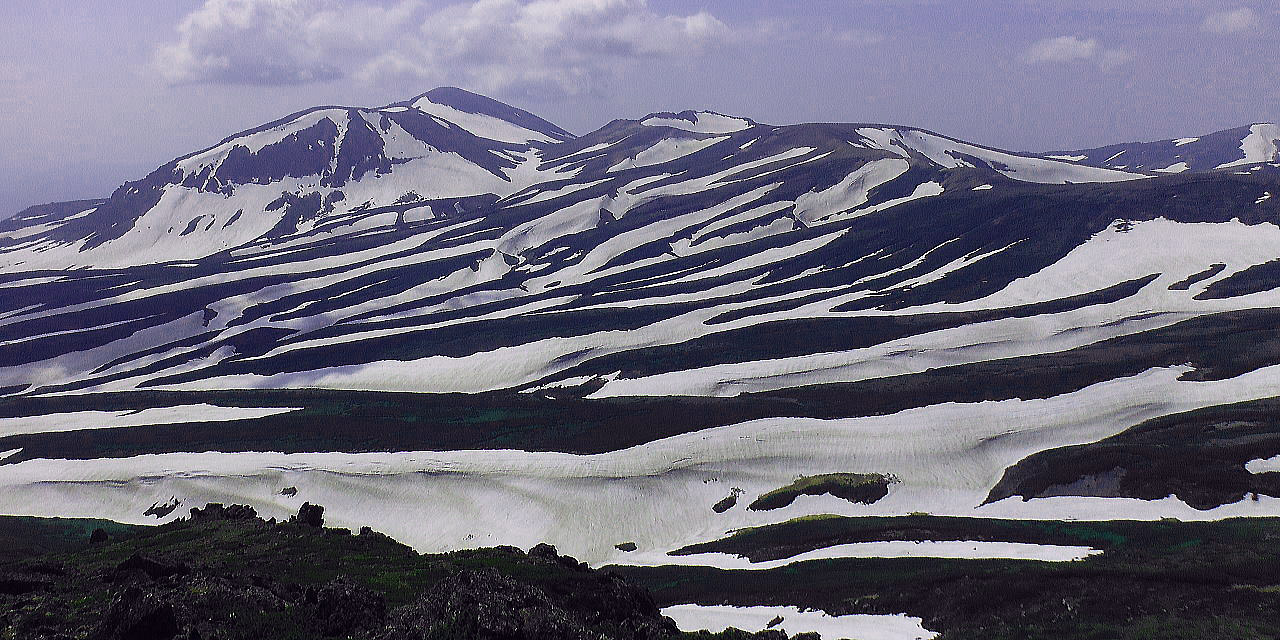 初夏の大雪山白雲岳 ゼブラ