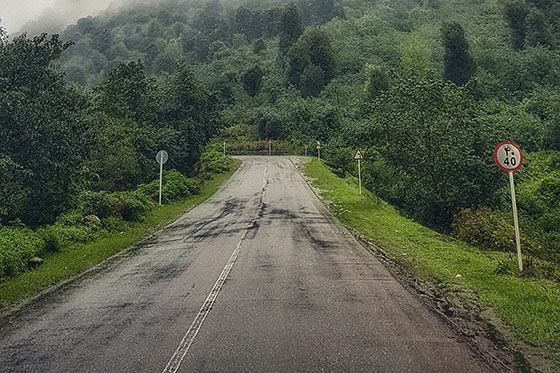 降水量1mmの雨が降る山道