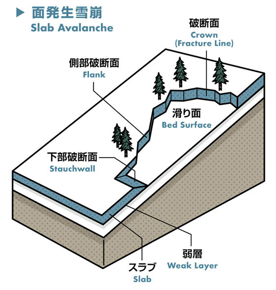 面発生雪崩