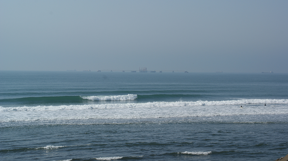 シカッティ腹~胸の波の写真
