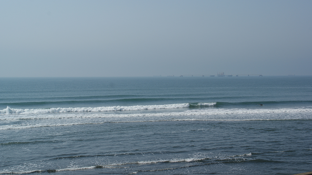 シカッティ腰~腹の波の写真