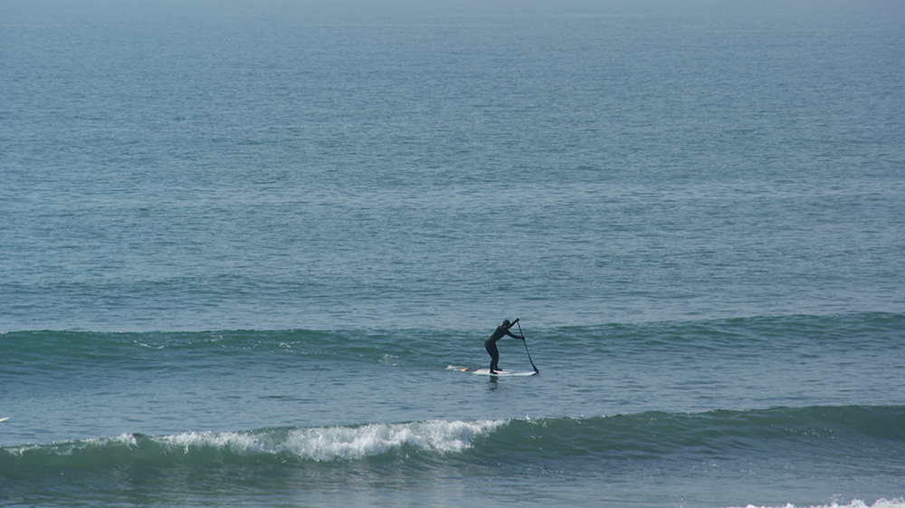 シカッティにて波を追いかけるパートナー写真2